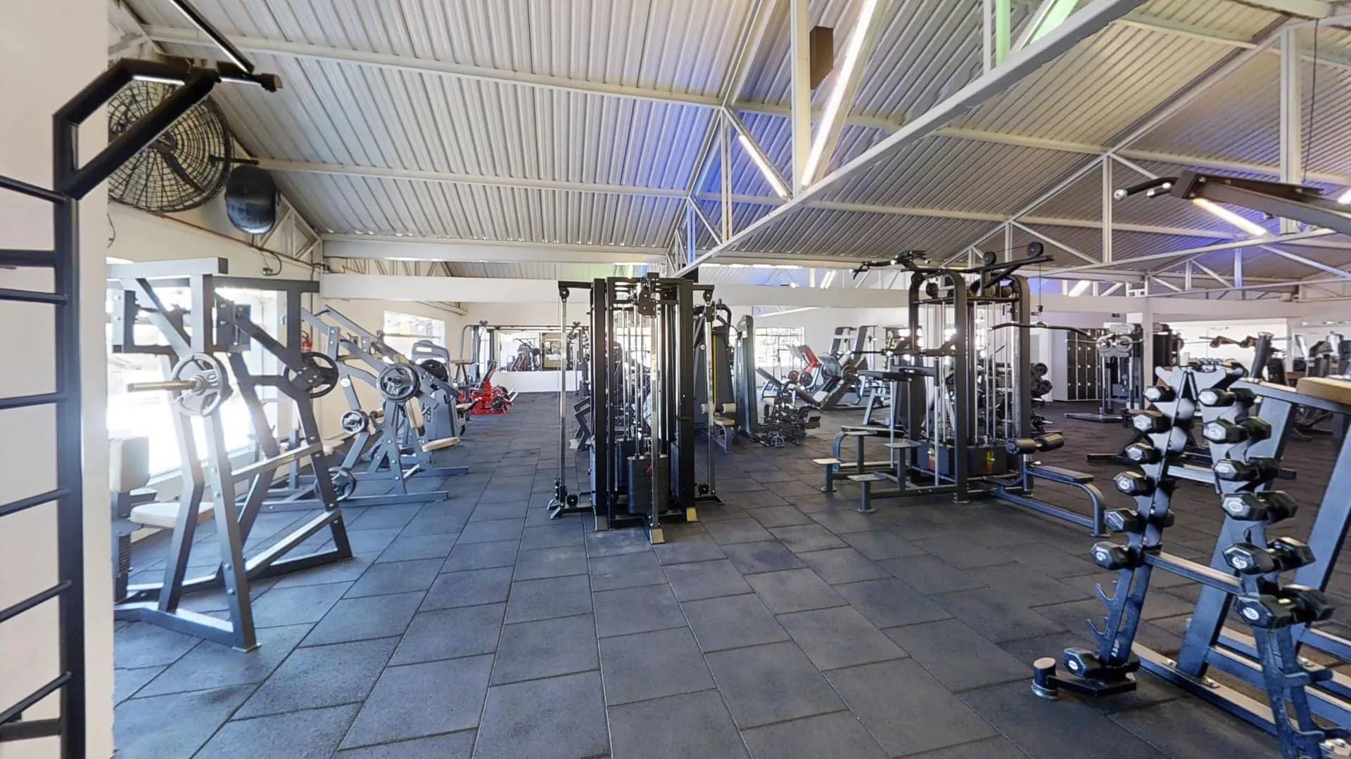 Área cardiovascular Academia Azure